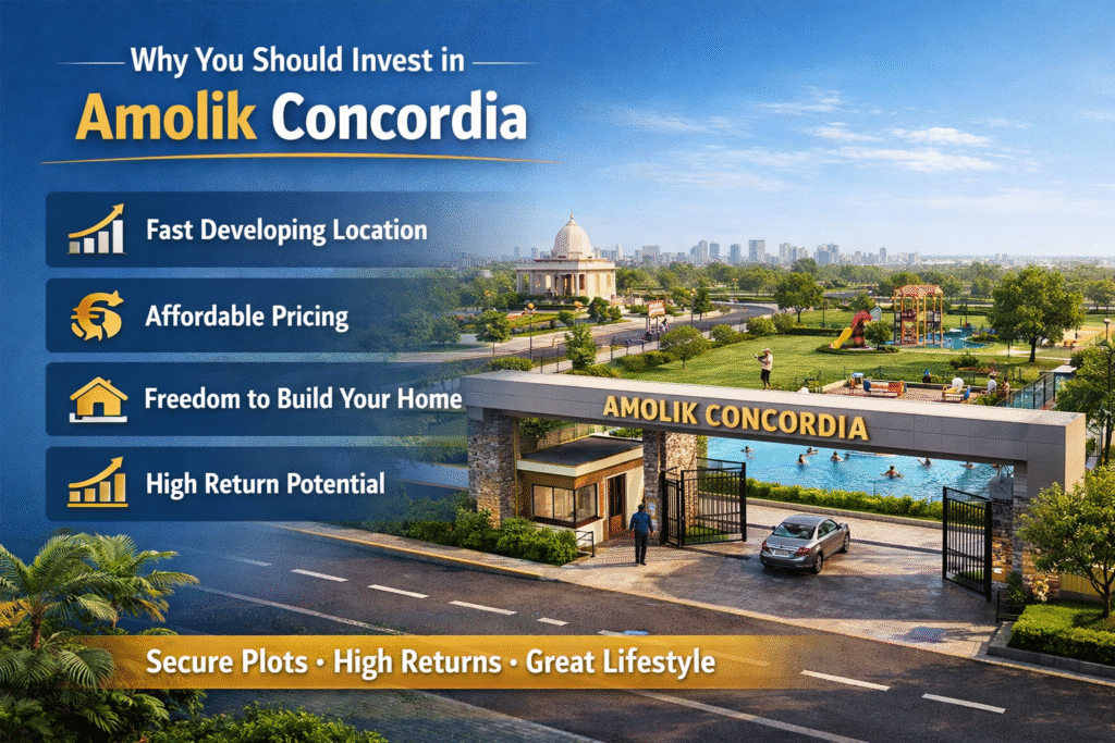 why should invest in this project